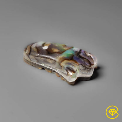 Abalone Shell,Quartz
