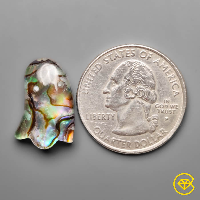 Abalone Shell,Quartz