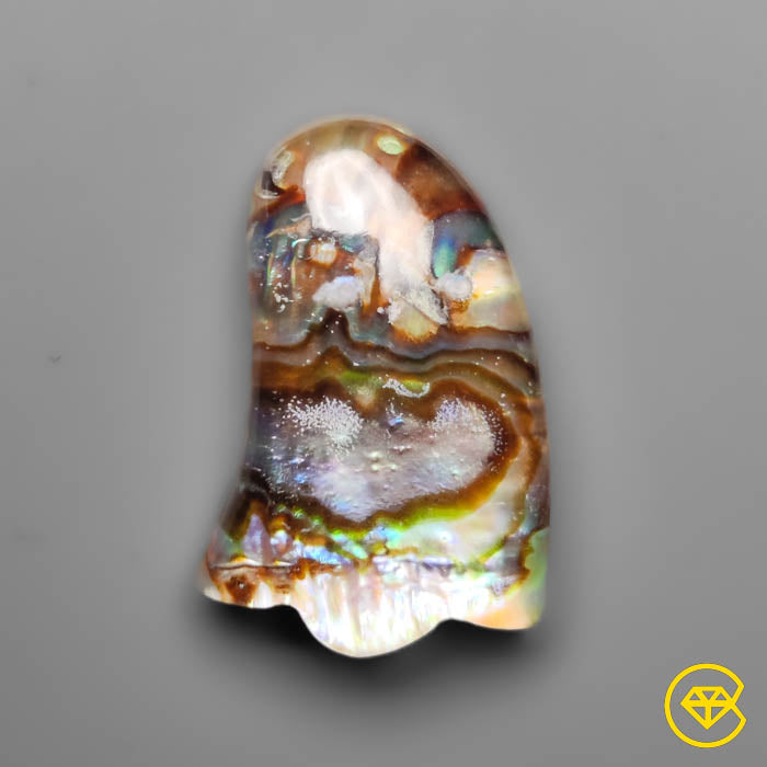 Abalone Shell,Quartz