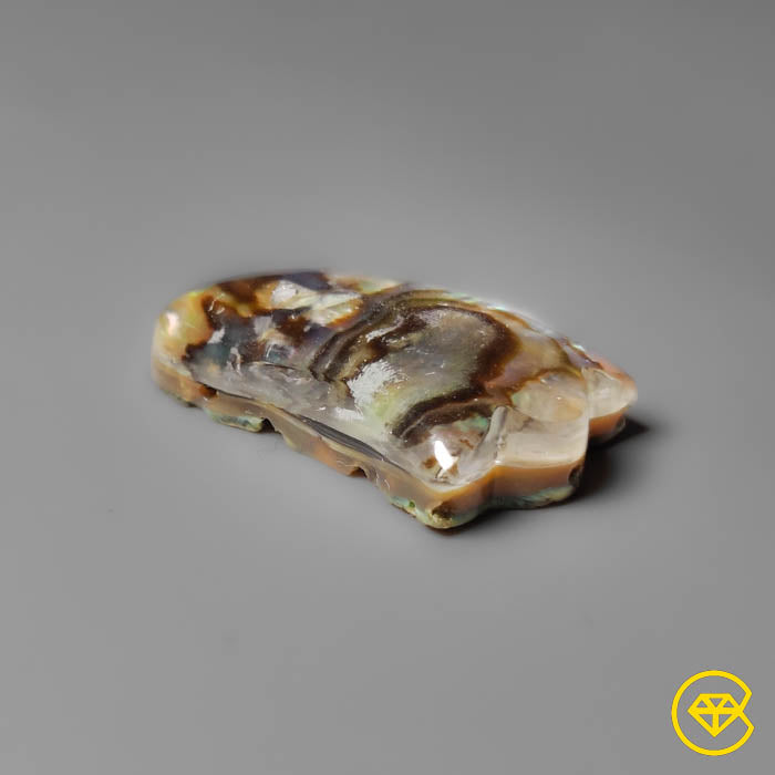 Abalone Shell,Quartz