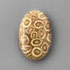 Coral|Fossil Coral