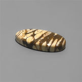 Peanut Wood Jasper|Wood