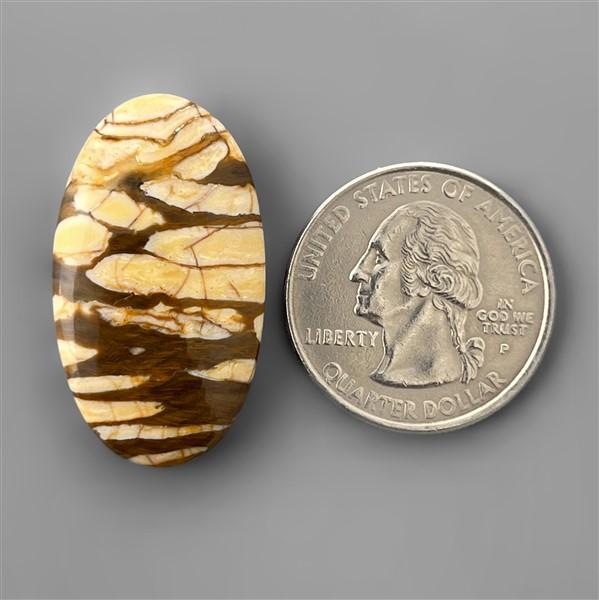 Peanut Wood Jasper|Wood