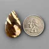 Peanut Wood Jasper|Wood