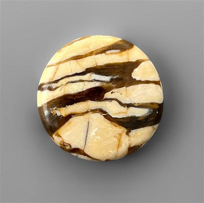 Peanut Wood Jasper|Wood