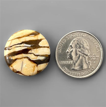 Peanut Wood Jasper|Wood