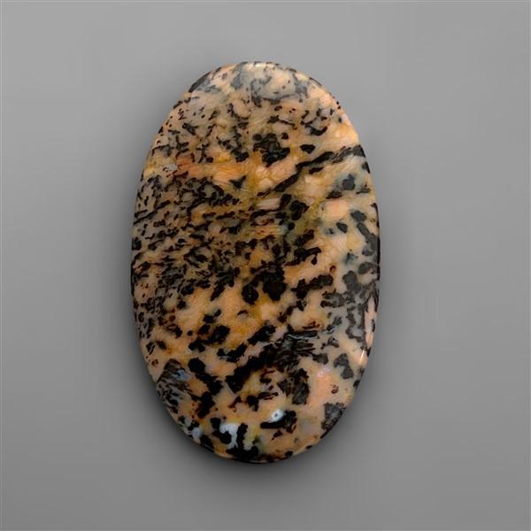 Agate|Dendritic Agate