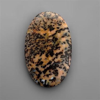 Agate|Dendritic Agate
