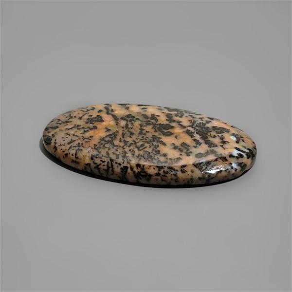 Agate|Dendritic Agate
