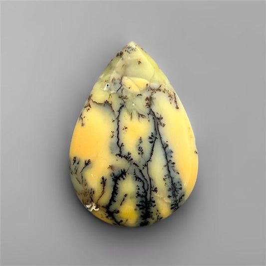 Agate|Dendritic Agate