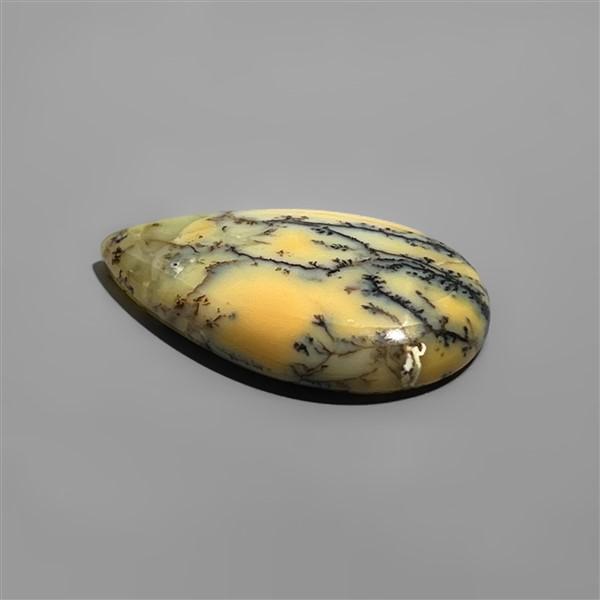 Agate|Dendritic Agate