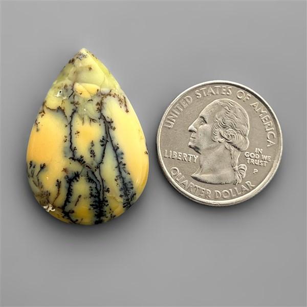 Agate|Dendritic Agate