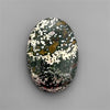 Ocean Jasper