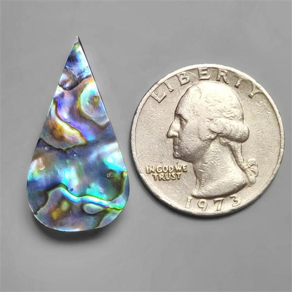 Shell