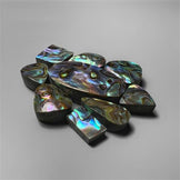 Abalone Shell|Shell