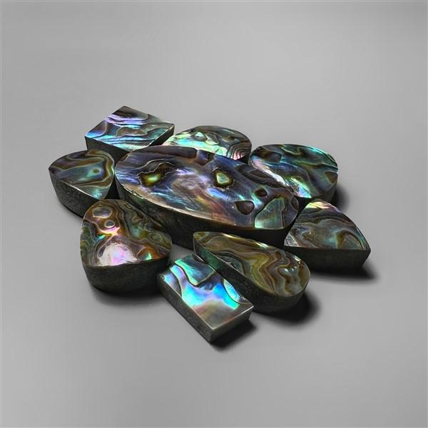 Abalone Shell|Shell