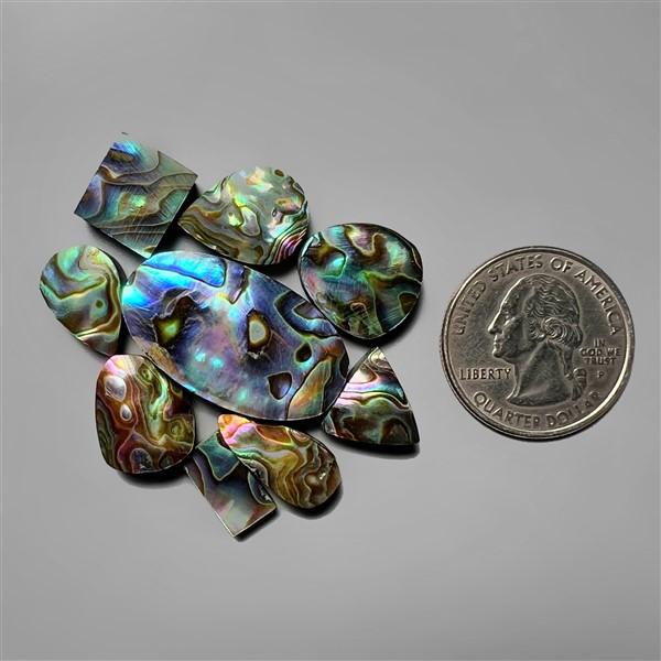 Abalone Shell|Shell