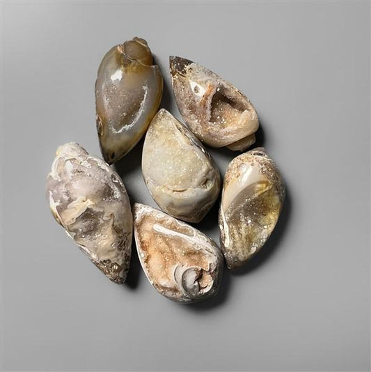 Shell