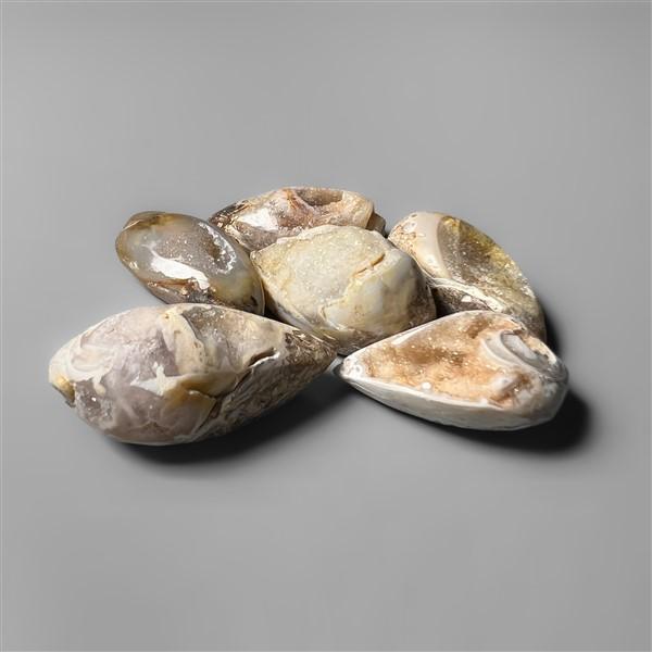 Shell
