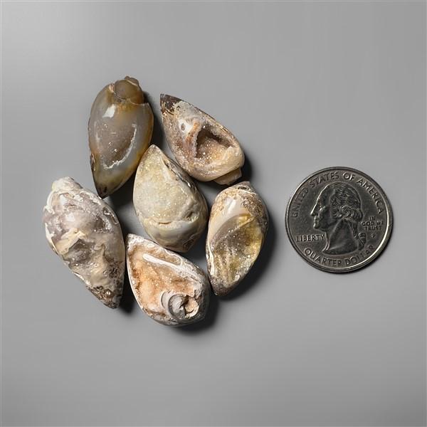 Shell