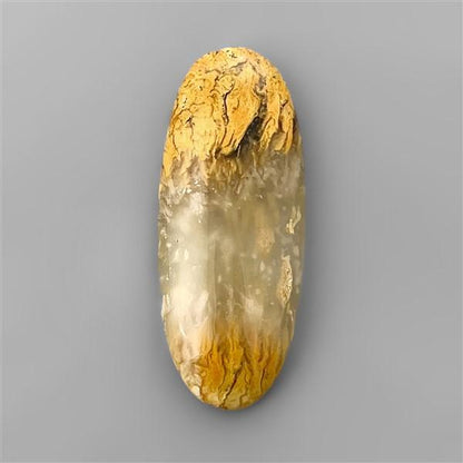 Agate|Dendritic Agate