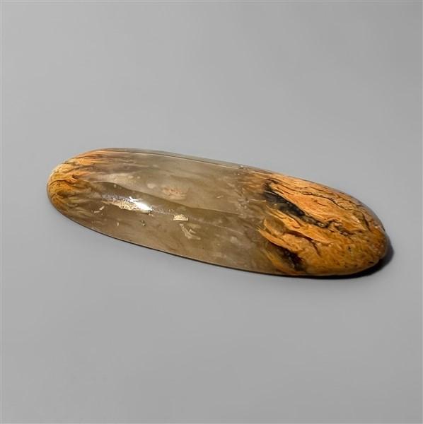 Agate|Dendritic Agate