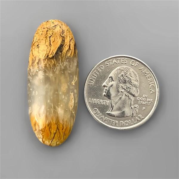 Agate|Dendritic Agate