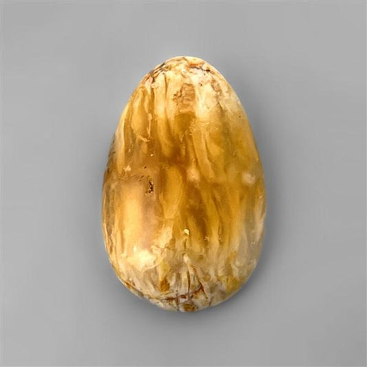 Agate|Dendritic Agate