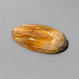 Agate|Dendritic Agate