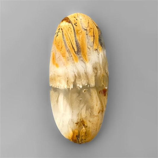 Agate|Dendritic Agate