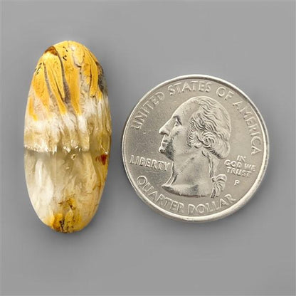 Agate|Dendritic Agate