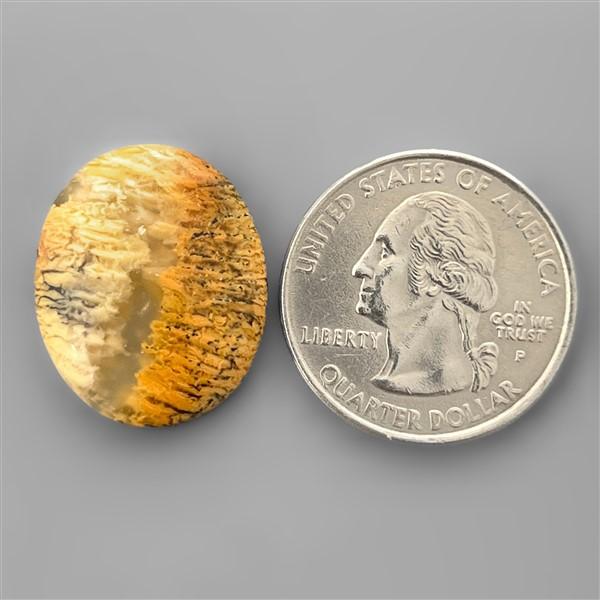 Agate|Dendritic Agate