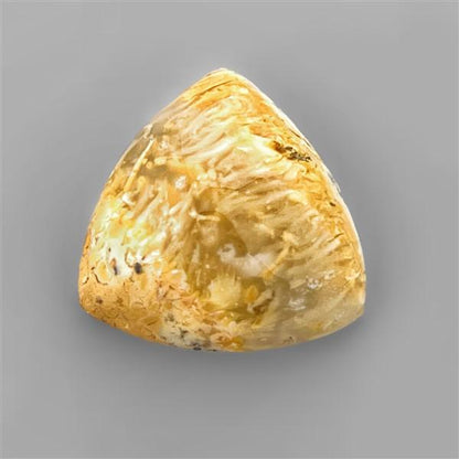Agate|Dendritic Agate