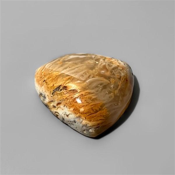 Agate|Dendritic Agate