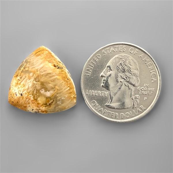 Agate|Dendritic Agate