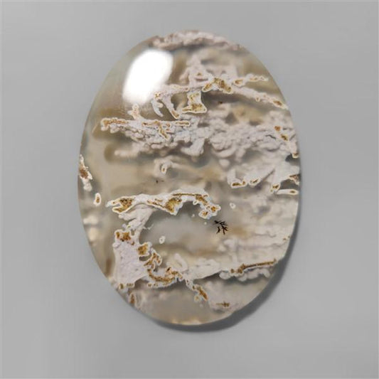 Agate|Moss Agate|White Horse Canyon