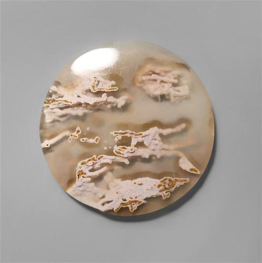 Agate|Moss Agate|White Horse Canyon