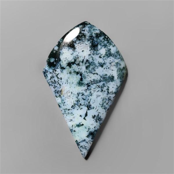 Agate|Tree Agate