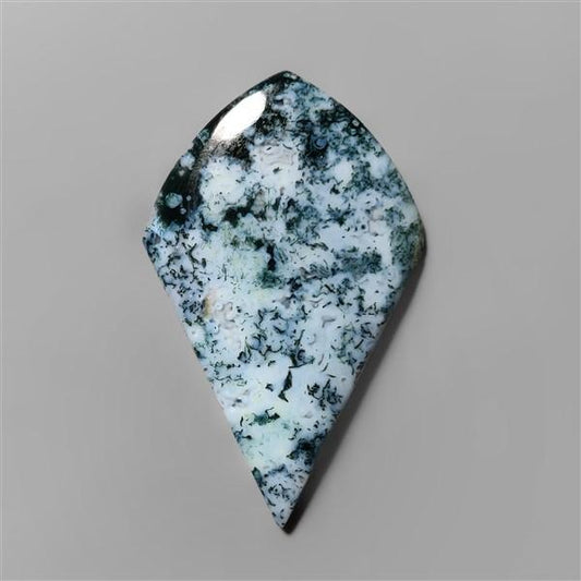 Agate|Tree Agate