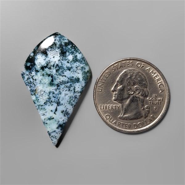 Agate|Tree Agate