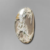 Agate|Moss Agate|White Horse Canyon
