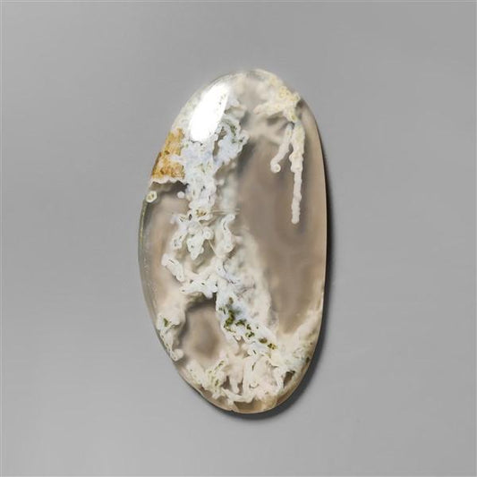 Agate|Moss Agate|White Horse Canyon