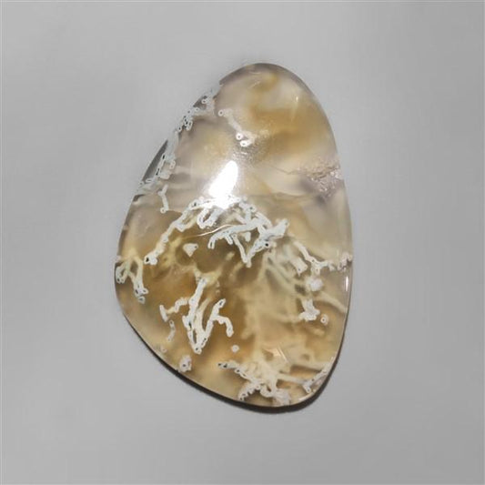 Agate|Moss Agate|White Horse Canyon