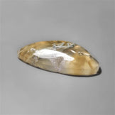 Agate|Moss Agate|White Horse Canyon