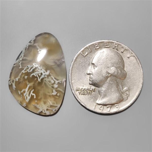 Agate|Moss Agate|White Horse Canyon