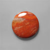 Petrified Wood|Wood