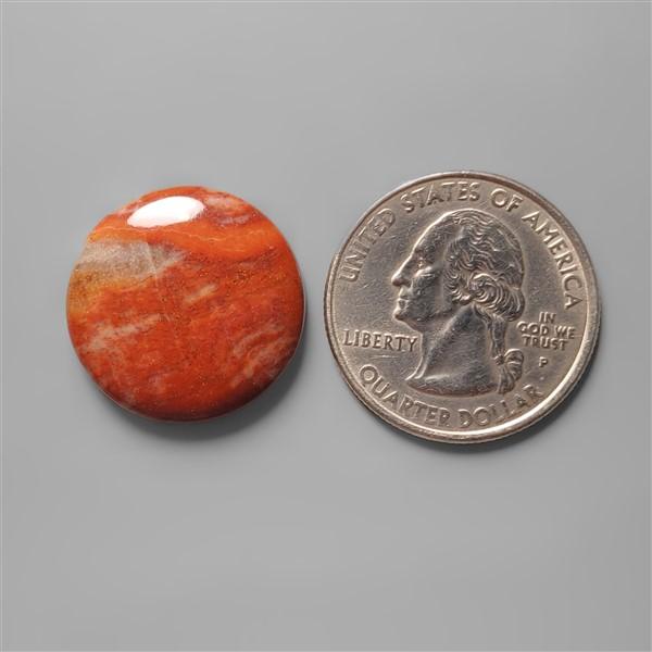 Petrified Wood|Wood