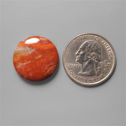Petrified Wood|Wood