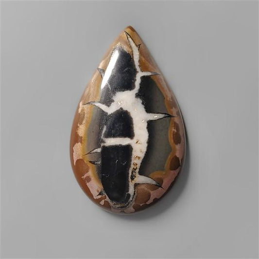 Septarian