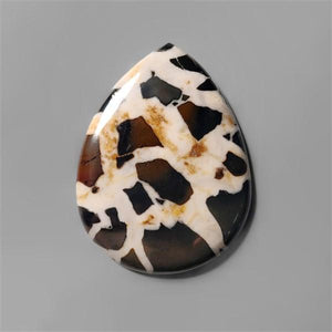 Black Septarian Fossil